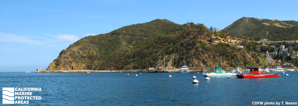 boats on the water, tall headland in the background